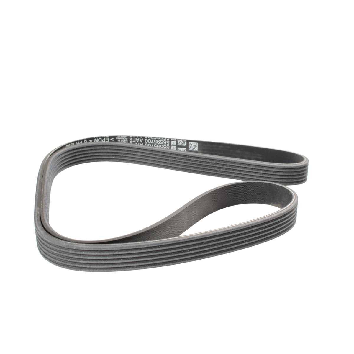 Foto de CORREA DE ACCESORIOS (SERPENTINA) - 1