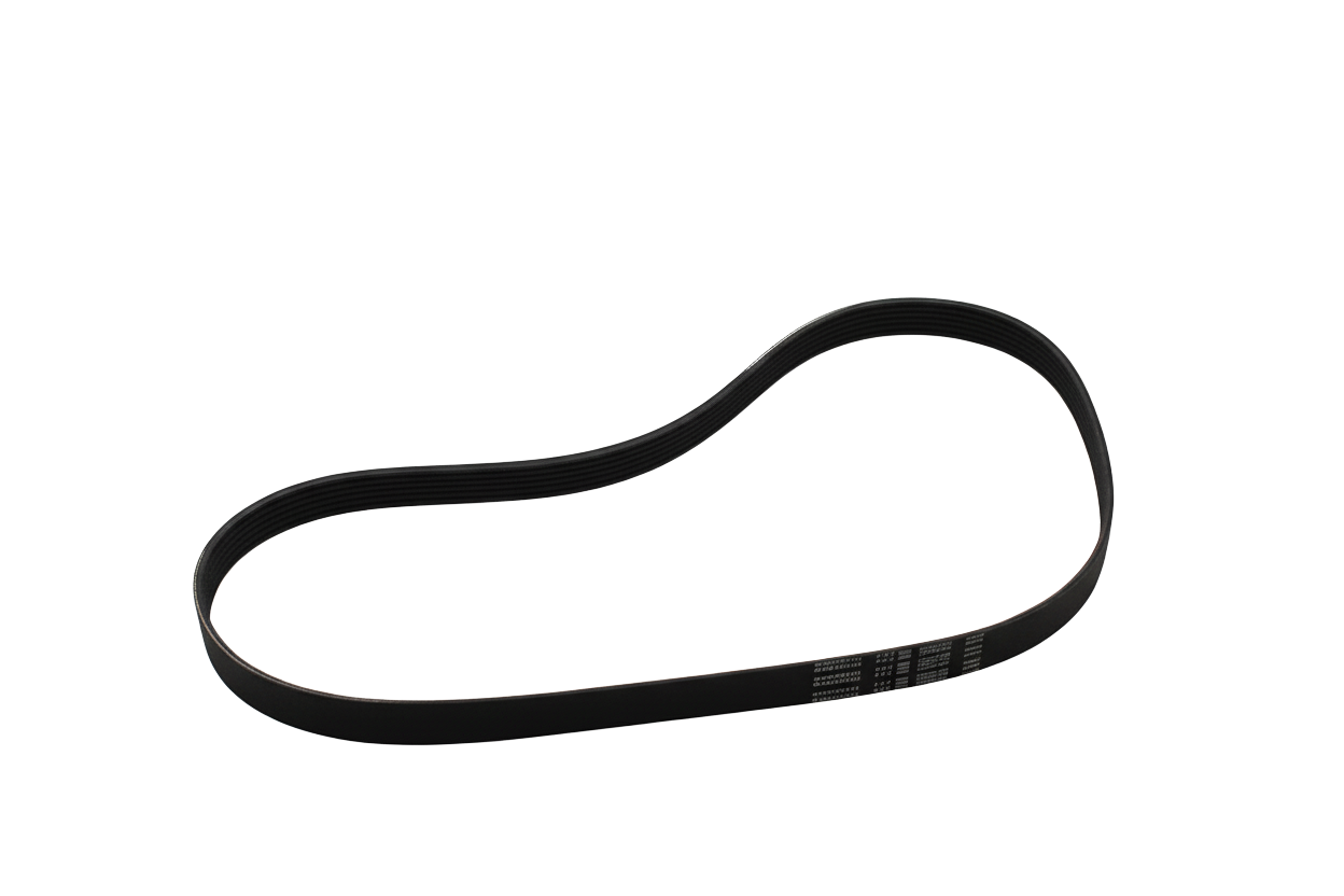 Foto de BANDA DE ACCESORIOS - 3