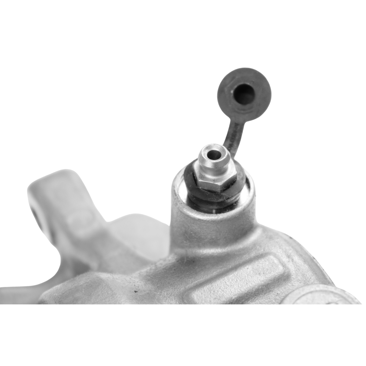 Foto de MORDAZA DE FRENO TRASERO (CALIPER) - 3