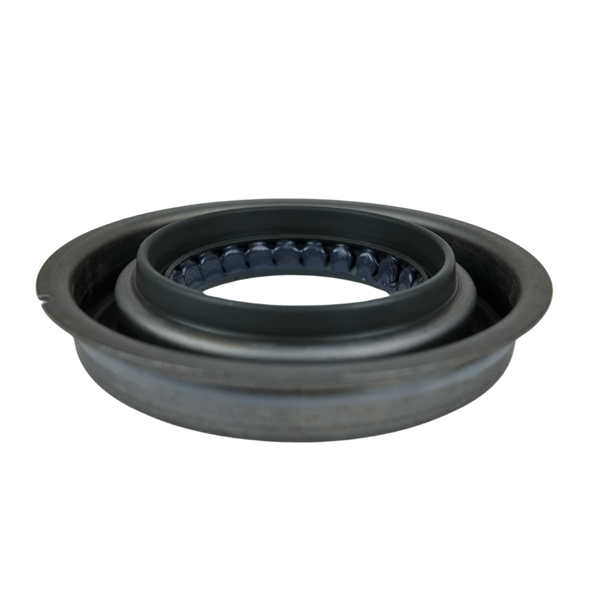 Foto de SELLO DE ACEITE DEL PIÑON - 4