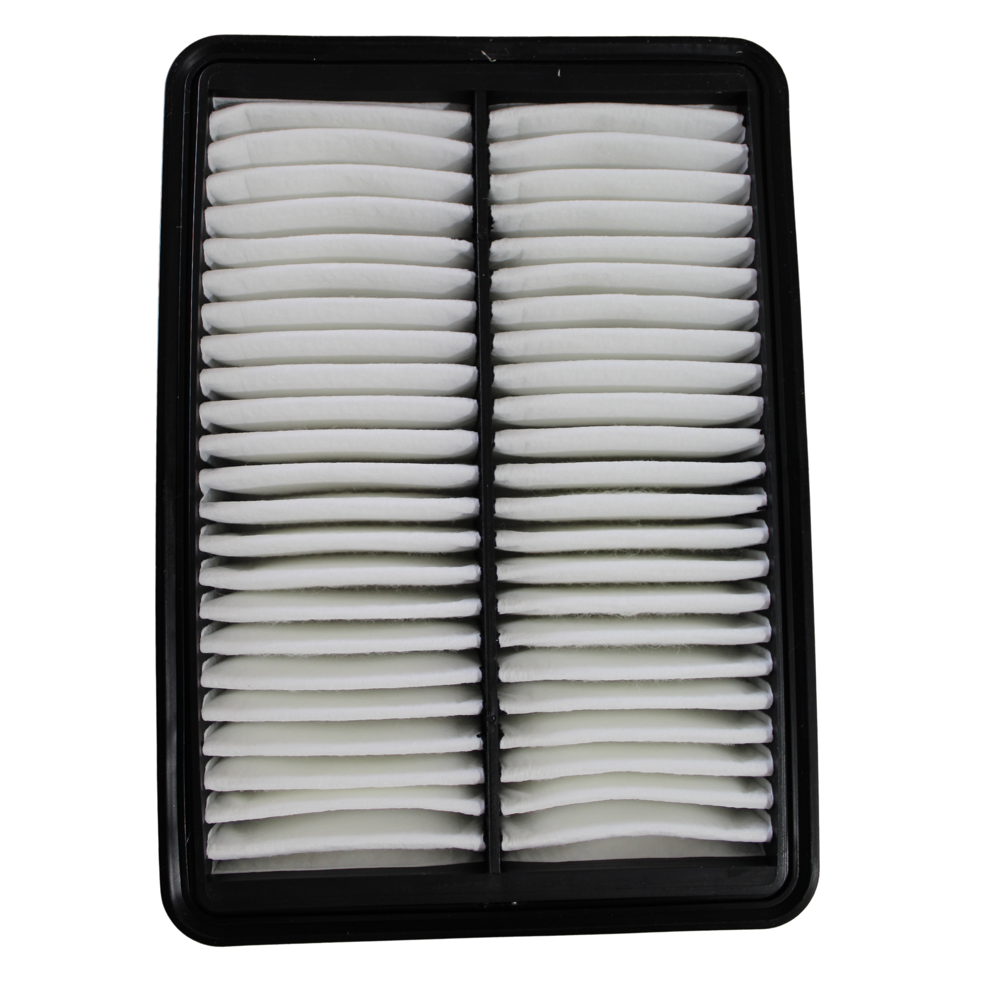 Foto de NUCLEO DE FILTRO DE AIRE DE MOTOR - 1