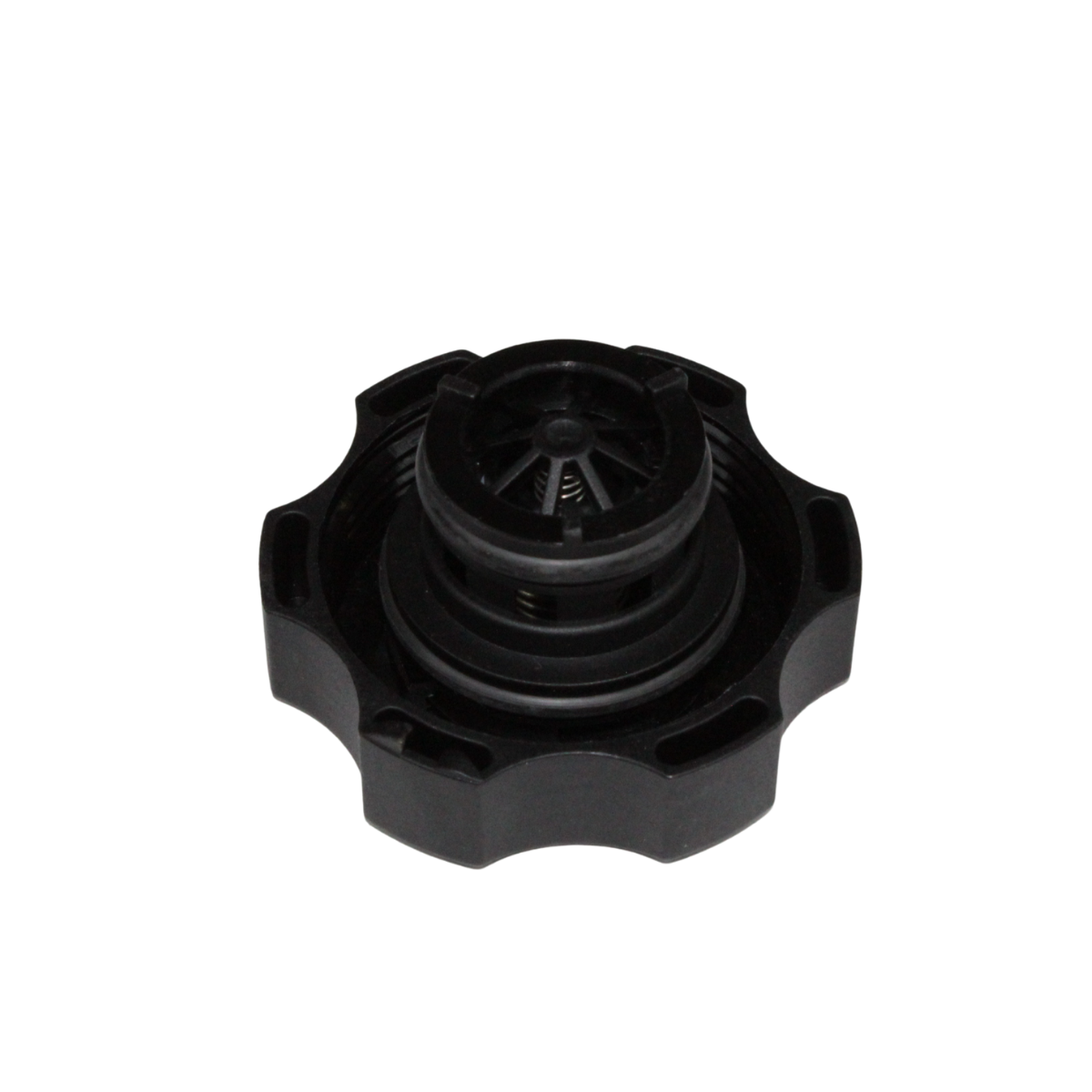 Foto de TAPA DE TANQUE DE COMPENSACIÓN DEL RADIADOR - 1