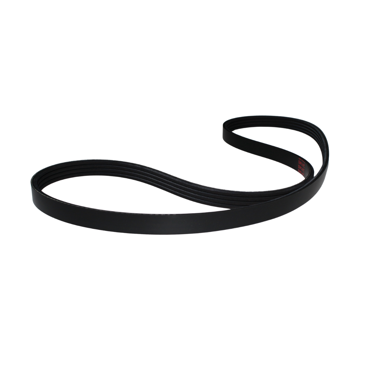 Foto de CORREA DE BOMBA DE DIRECCION HIDRAULICA - 2