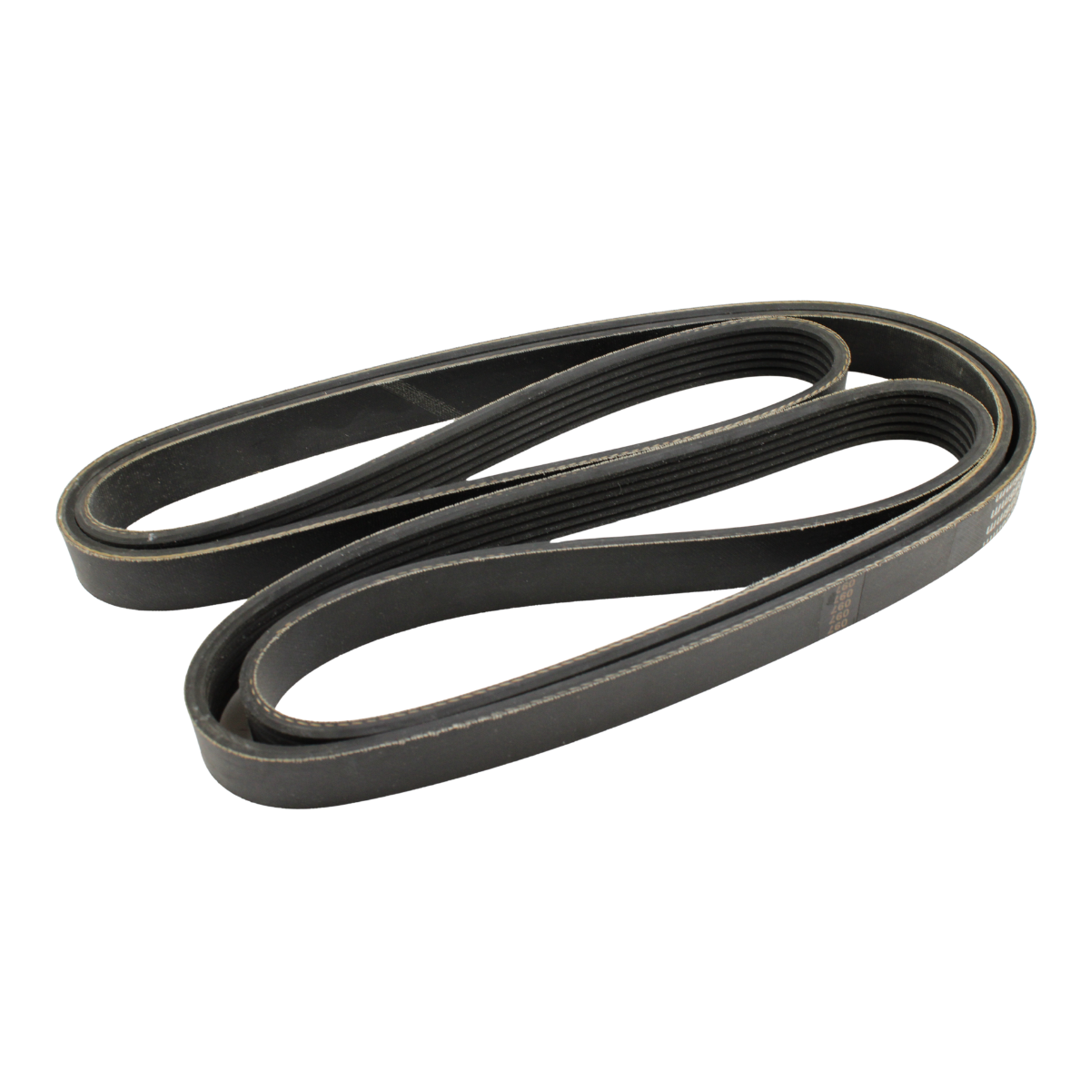 Foto de CORREA DE ACCESORIOS (SERPENTINA) - 3